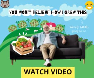 How To Reach A Million People